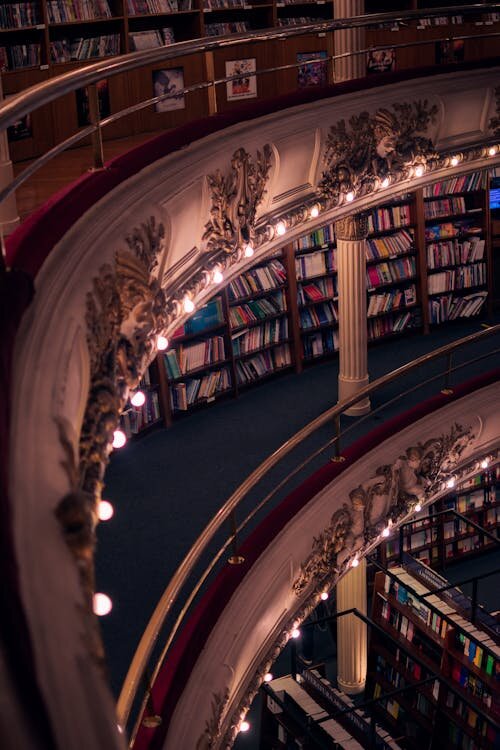 Фото из сети
