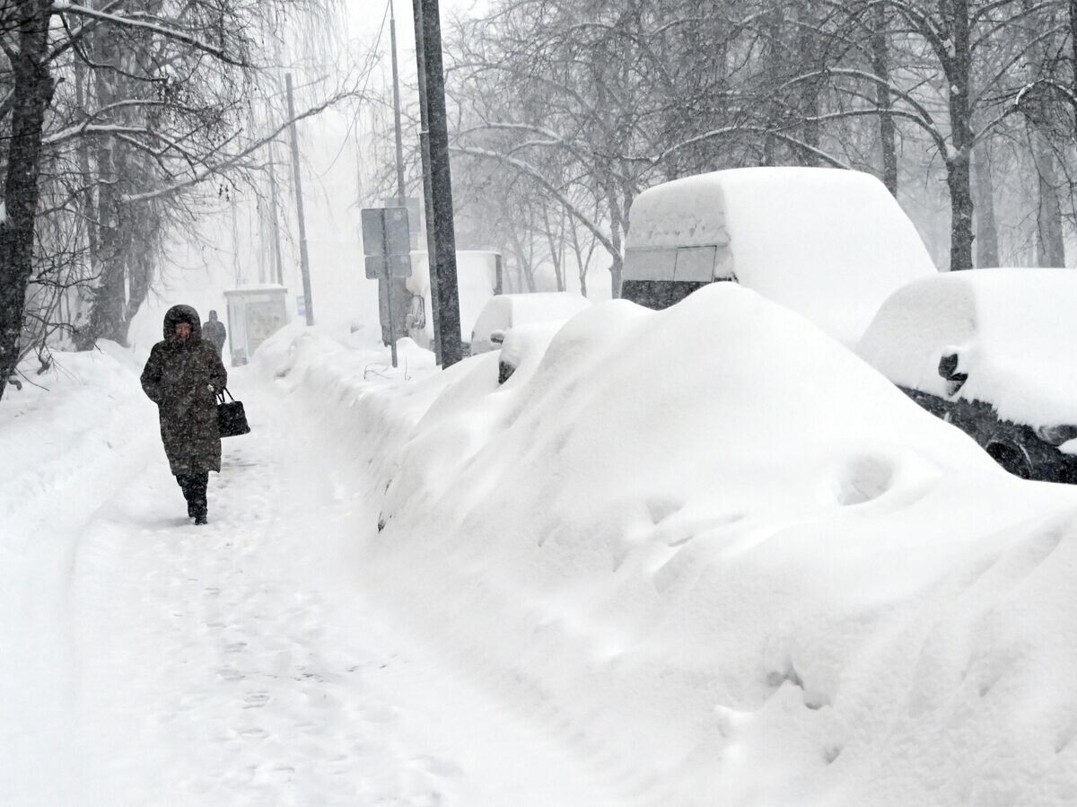    Снег в Москве© РИА Новости / Владимир Федоренко