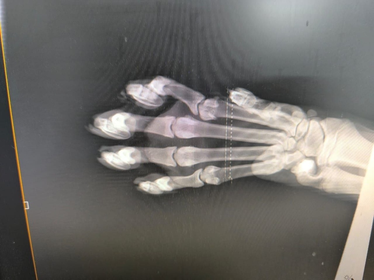     Источник: @minles_pk