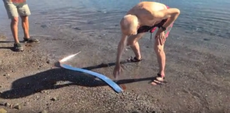    Скриншот видео YouTube