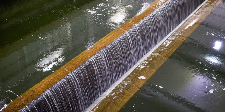    Фото: mos.ru Екатерина Шахнина