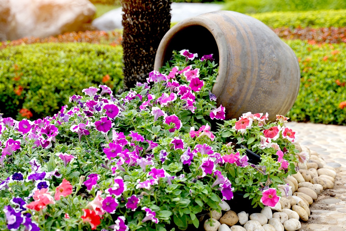    Петунии - крайне теплолюбивые, поэтому время закладки семян для рассады зависит от климатических зон. / Фото: istock