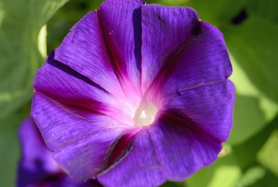    Horst Sollinger/imageBROKER/Global Look Press