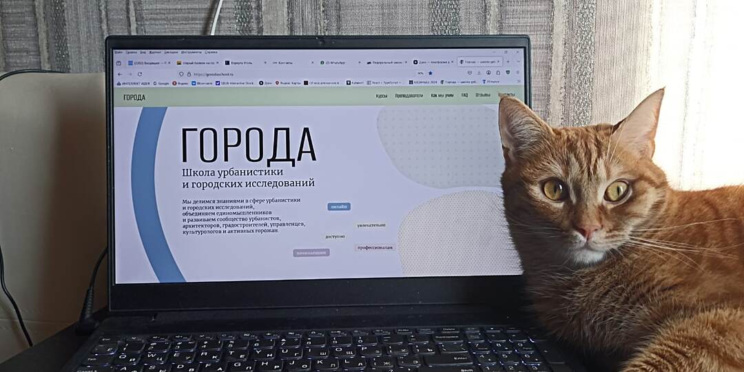 Где научиться урбанистике