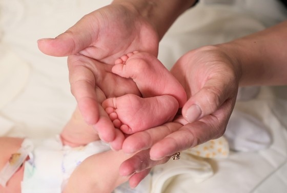    Сергей Петров/NEWS.ru