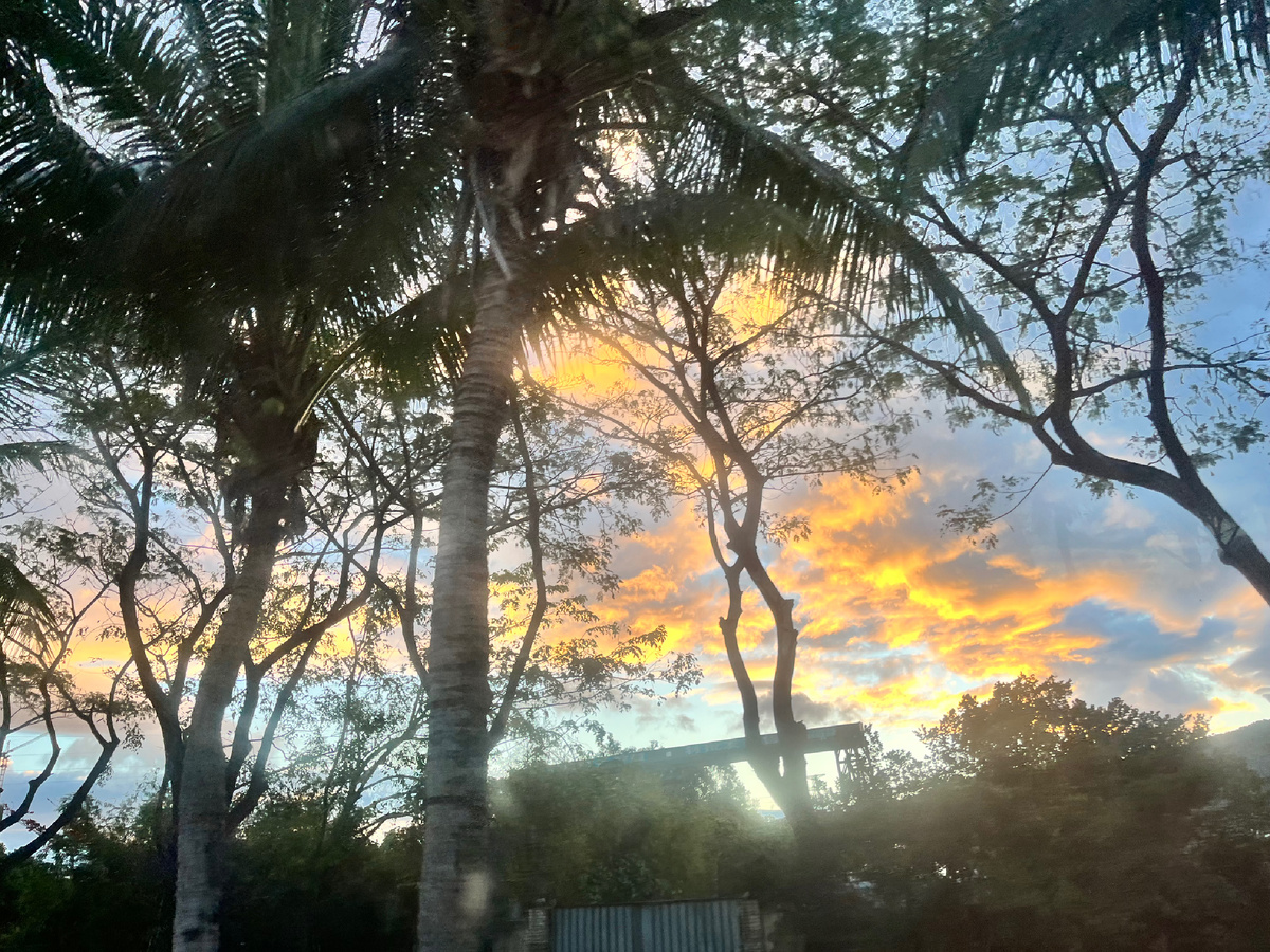 С утра солнце подсветило облака в золото