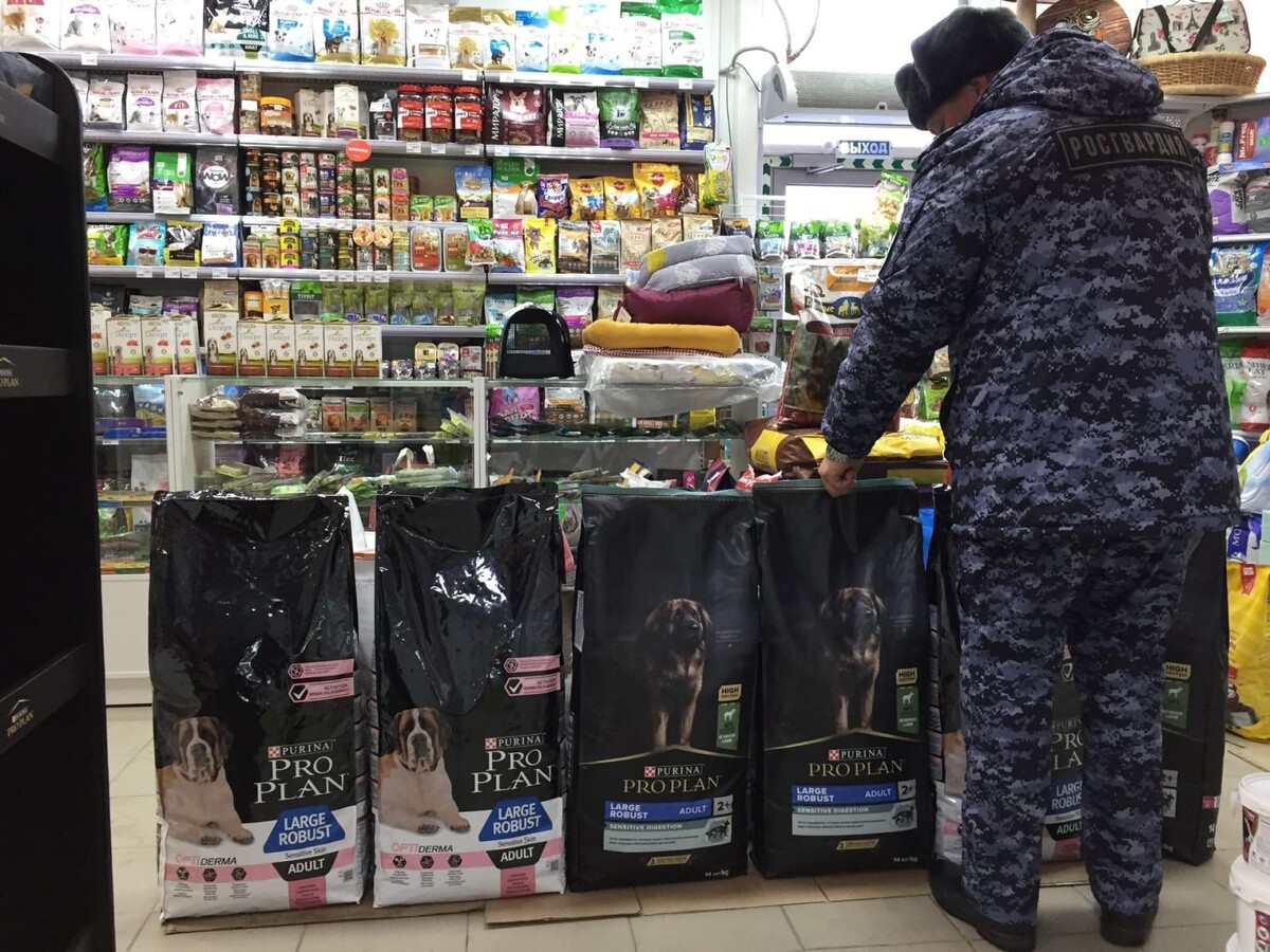 Фото: «Четвероногие бойцы Сибири» «ВКонтакте», Росгвардия в Алтайском крае, «Единая Россия»