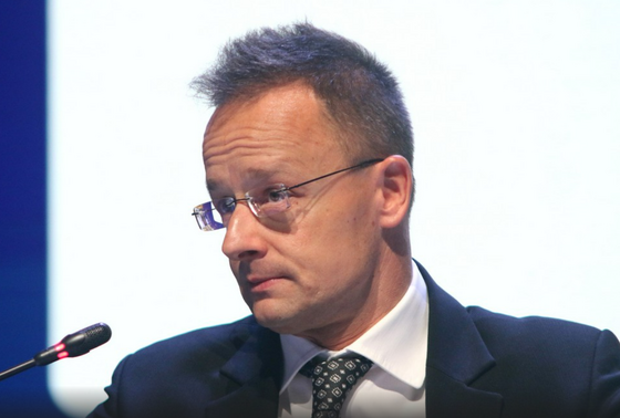    Maksim Konstantinov/Global Look Press