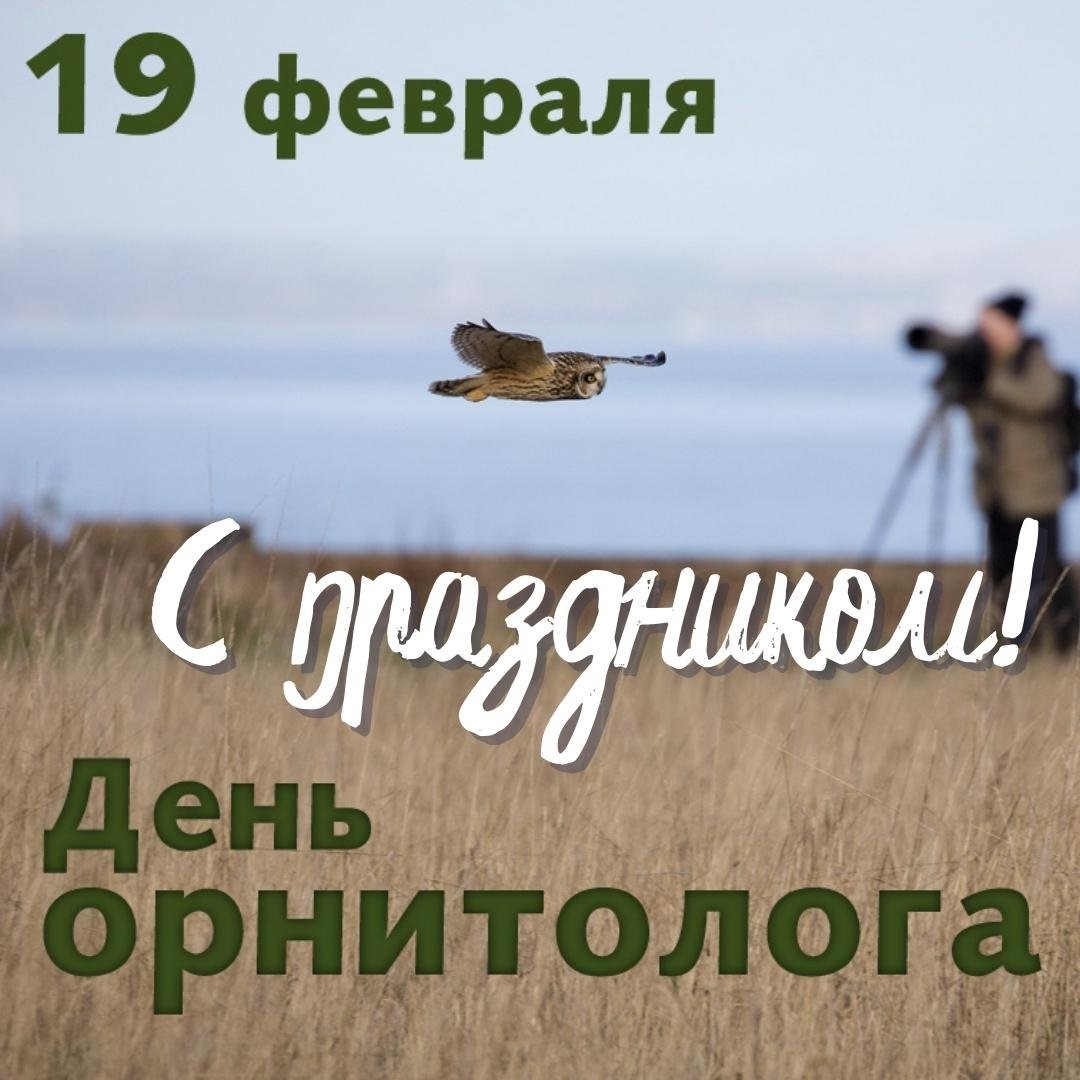 Открытка с днем рождения внучка 10 лет