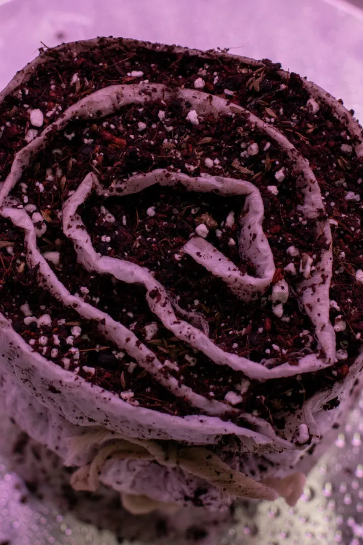 Рулет  с семенами