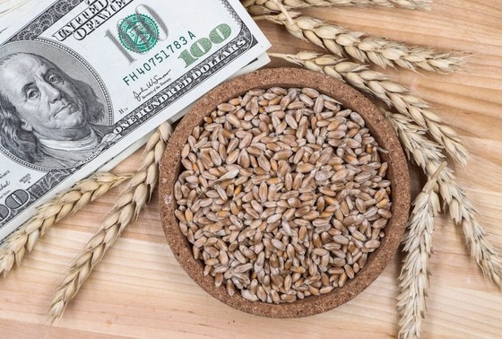    Сергей Булкин/NEWS.ru