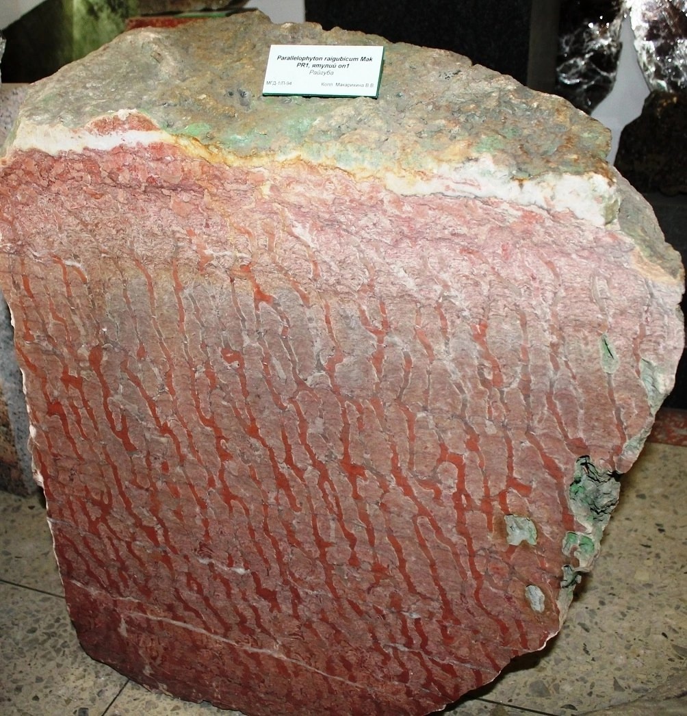 Фото: КарНЦ РАН  📷
