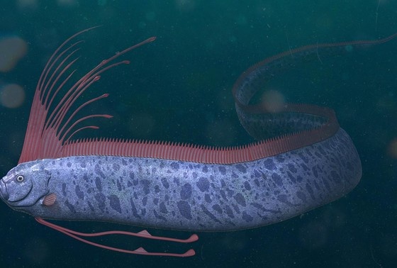    Shutterstock/FOTODOM