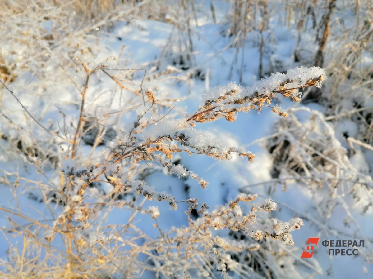 К вечеру морозы укрепятся, а пик похолодания прогнозируется на ночь четверга.  Фото: ФедералПресс / Елена Майорова