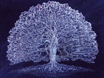    Honor рассказала о своих планах на MWC 2025