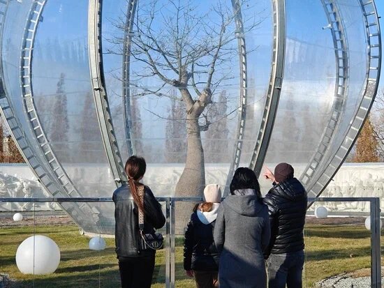    Фото: Юрий Серебренников/BFM Кубань