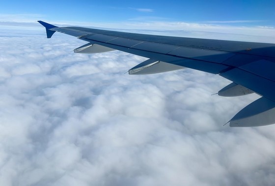    Сергей Петров/NEWS.ru