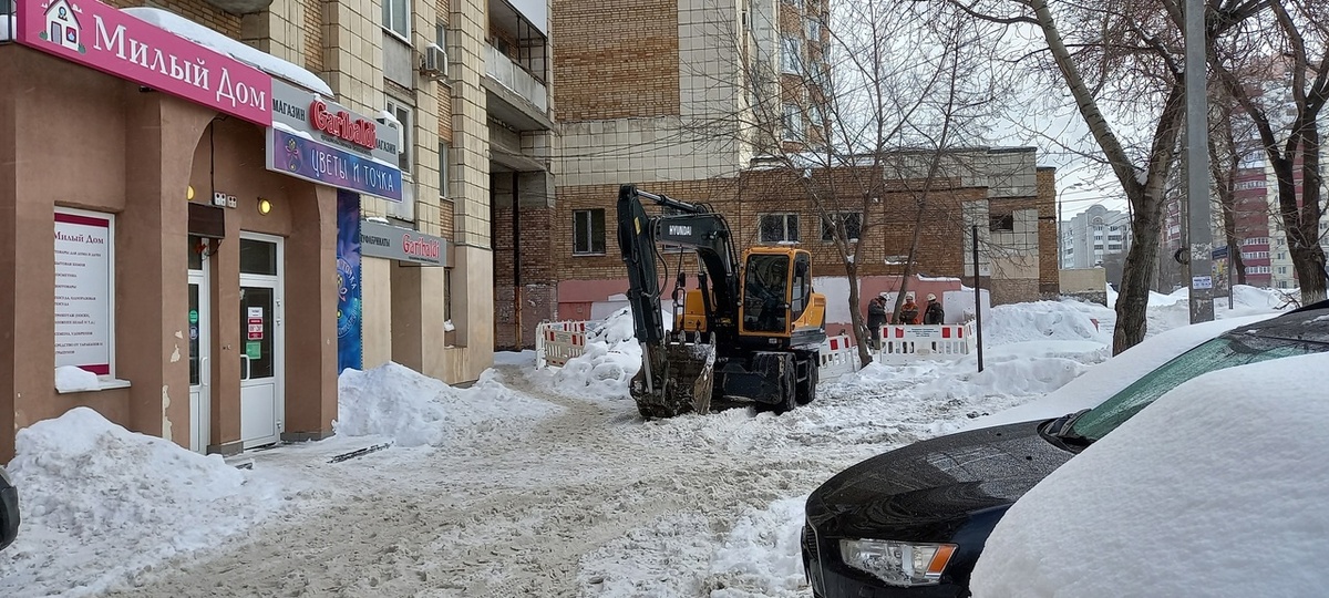    Фото: Дмитрий Павлов