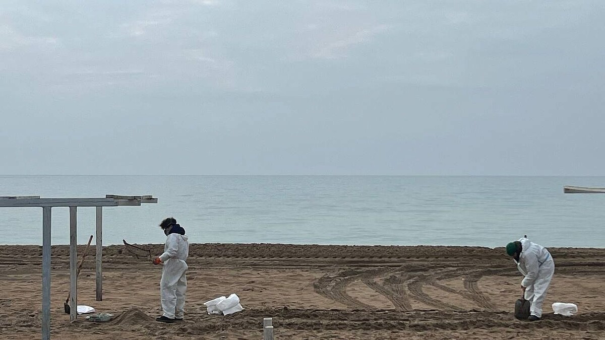    фото: телеканал «Краснодар»