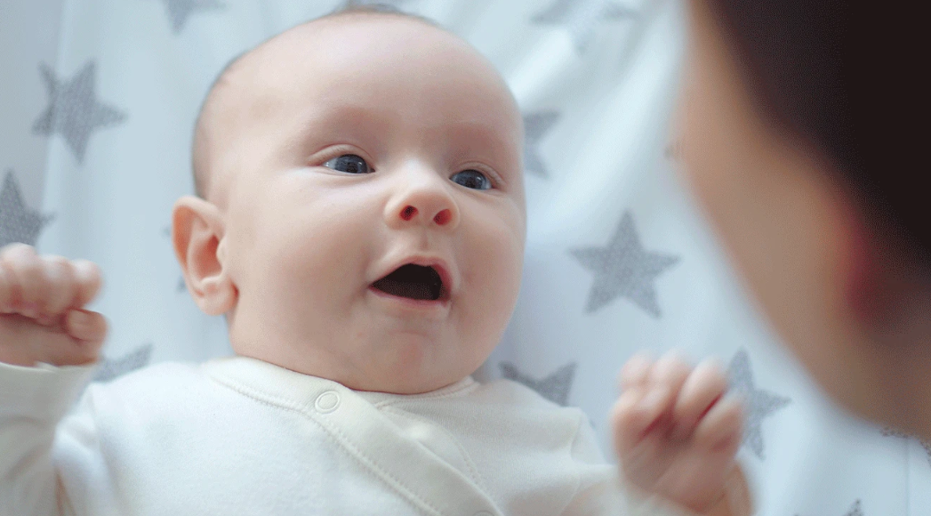 Image: VALUA VITALY | Shutterstock