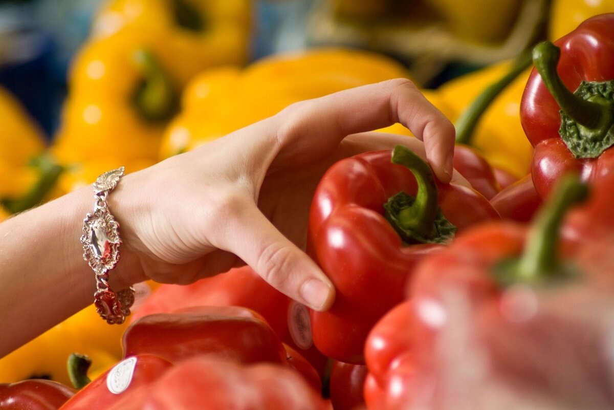 Источник фото: Canva