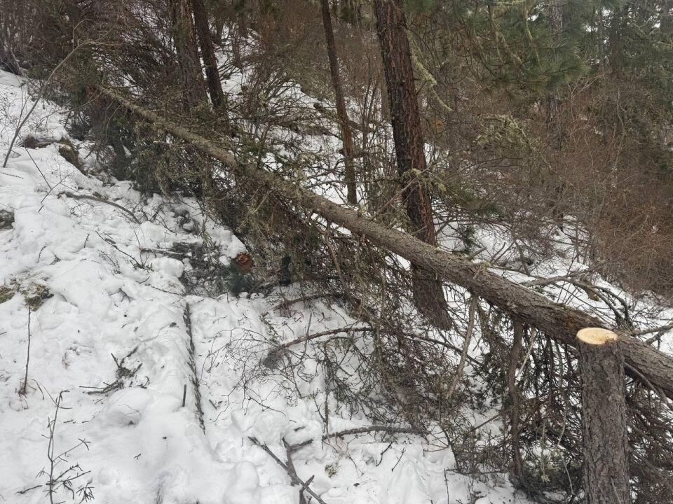    Незаконные загородки, выявленные в ходе рейда . Источник: предоставлено "Толку"