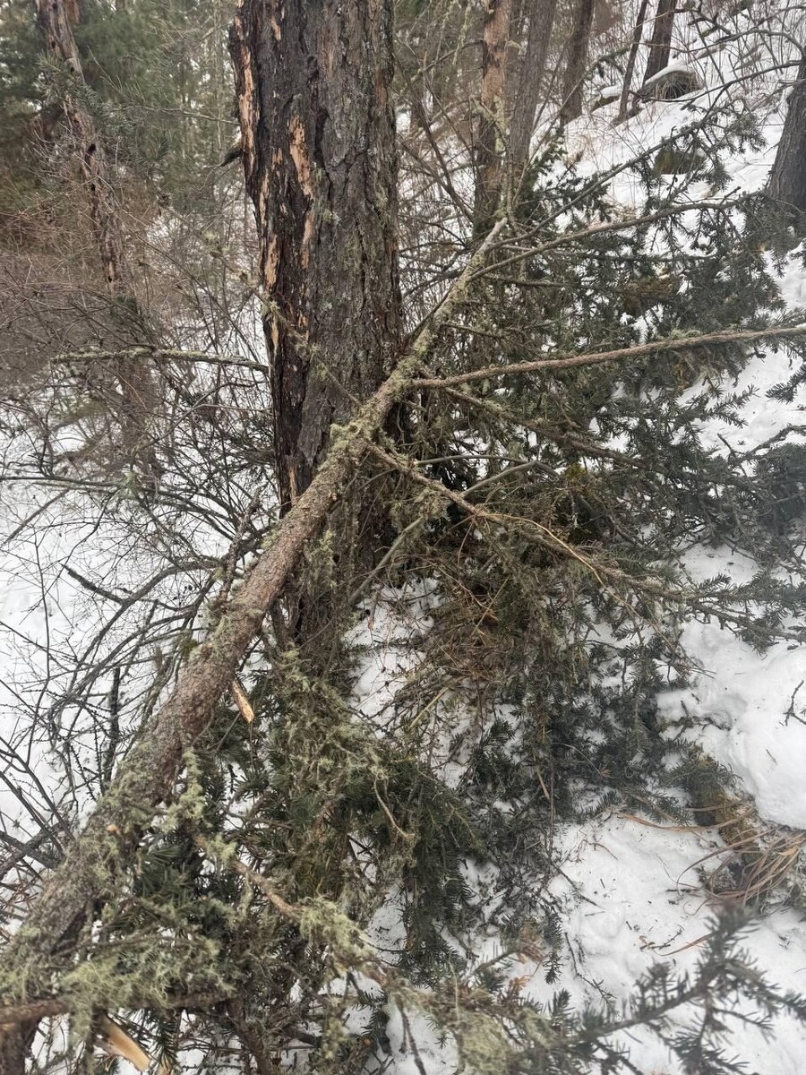    Незаконные загородки, выявленные в ходе рейда . Источник: предоставлено "Толку"