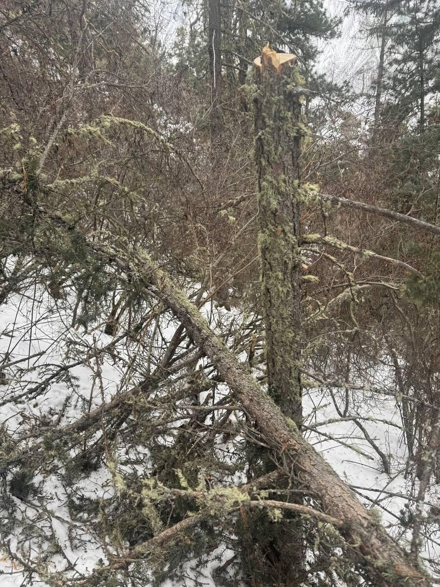    Незаконные загородки, выявленные в ходе рейда . Источник: предоставлено "Толку"