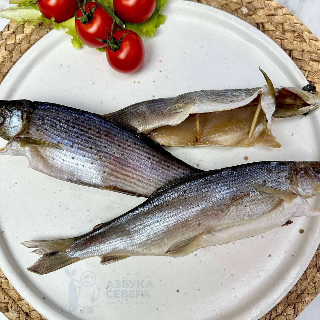 Хариус от "Азбуки Севера"