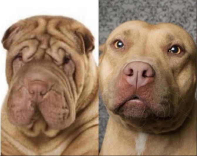 10 способов сохранить кожу лица и шеи здоровой и подтянутой