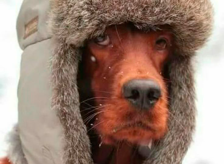 Вэб камера вам в помощь! Больше не нужно в одних трусах бежать на улицу!