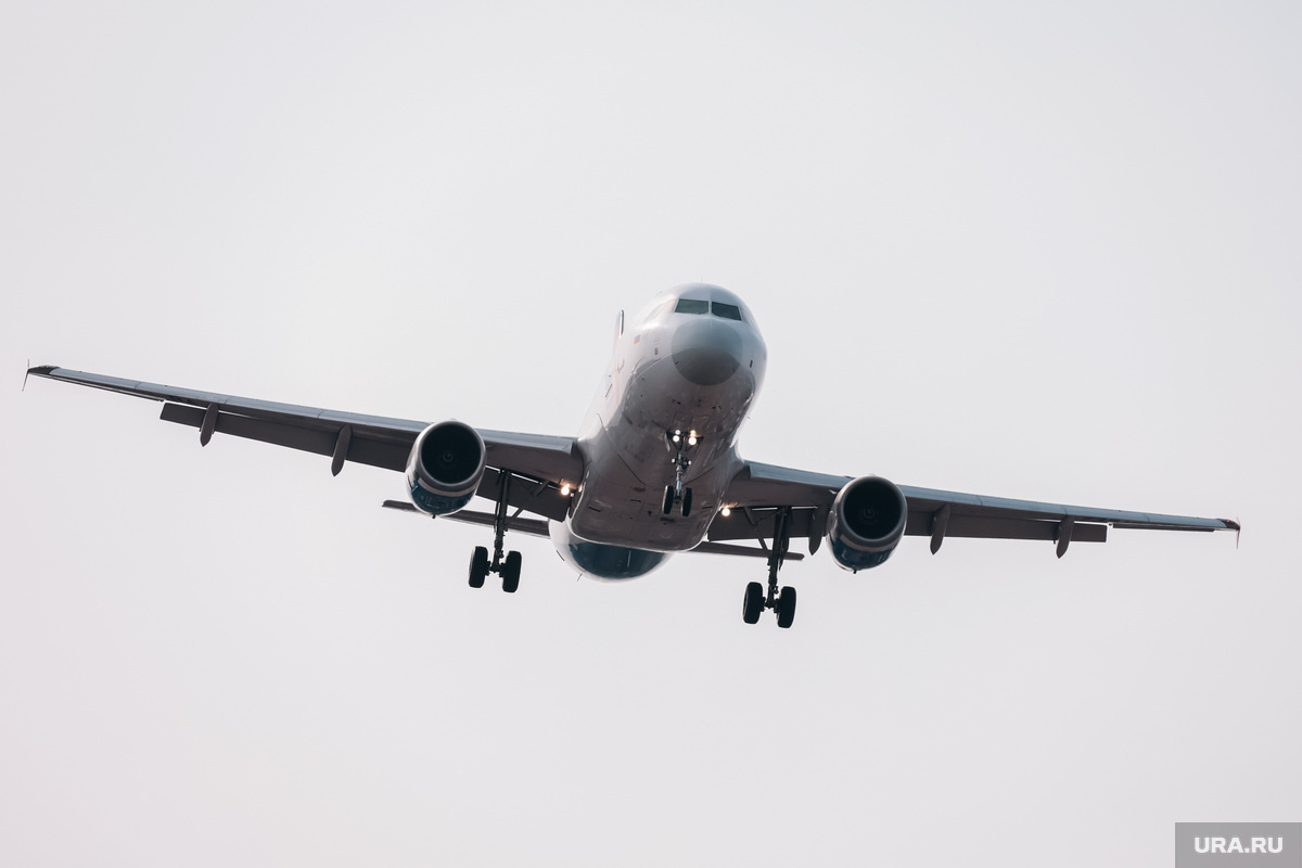 Самолет летел рейсом Миннеаполис - Торонто (архивное фото). Фото: Роман Наумов © URA.RU
