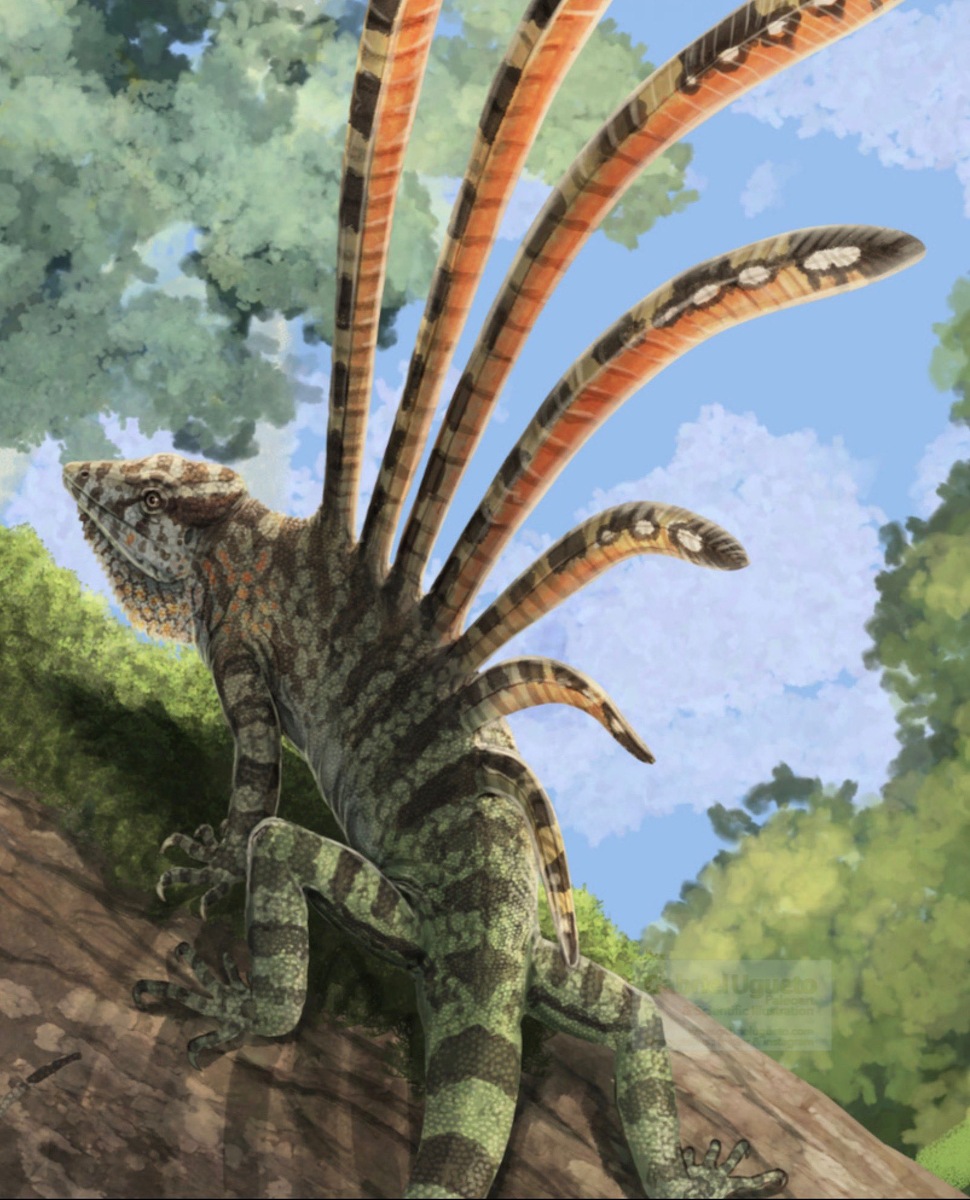 Палеоарт лонгисквамы. Автор Gabriel Ugueto