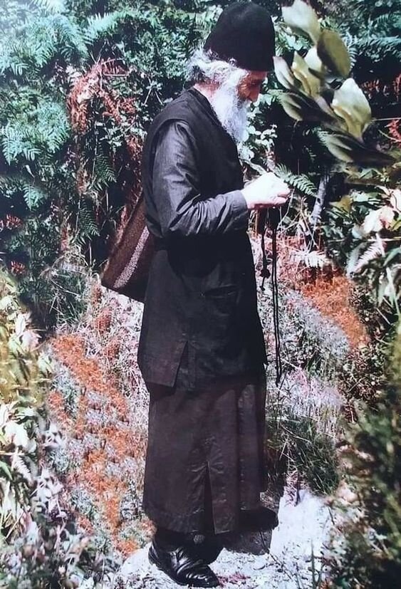 фото из открытого доступного источника сети интернет