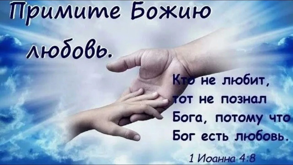 Из открытых источников Яндекса.