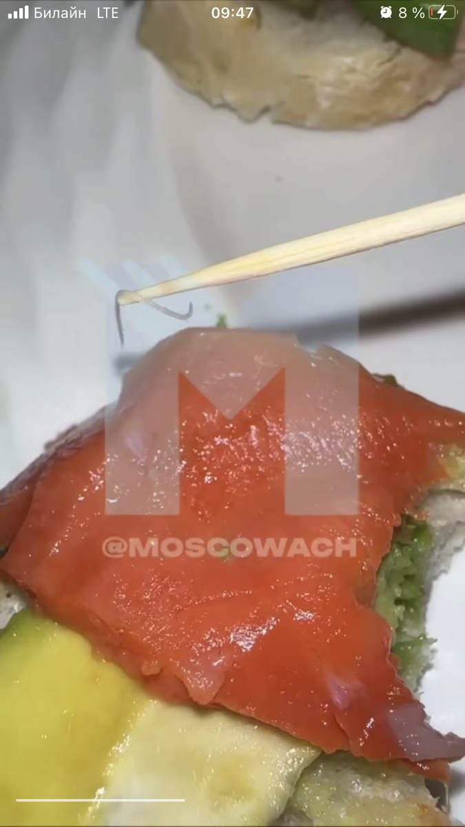 Поддержать канал 👉🏻 https://boosty.to/lion1999/donate