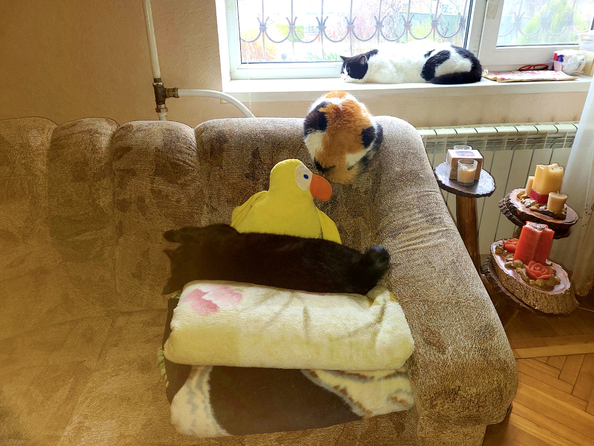 И снова спят)))