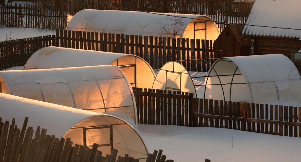    Ekaterina Sychkova/URA.RU / Global Look Press