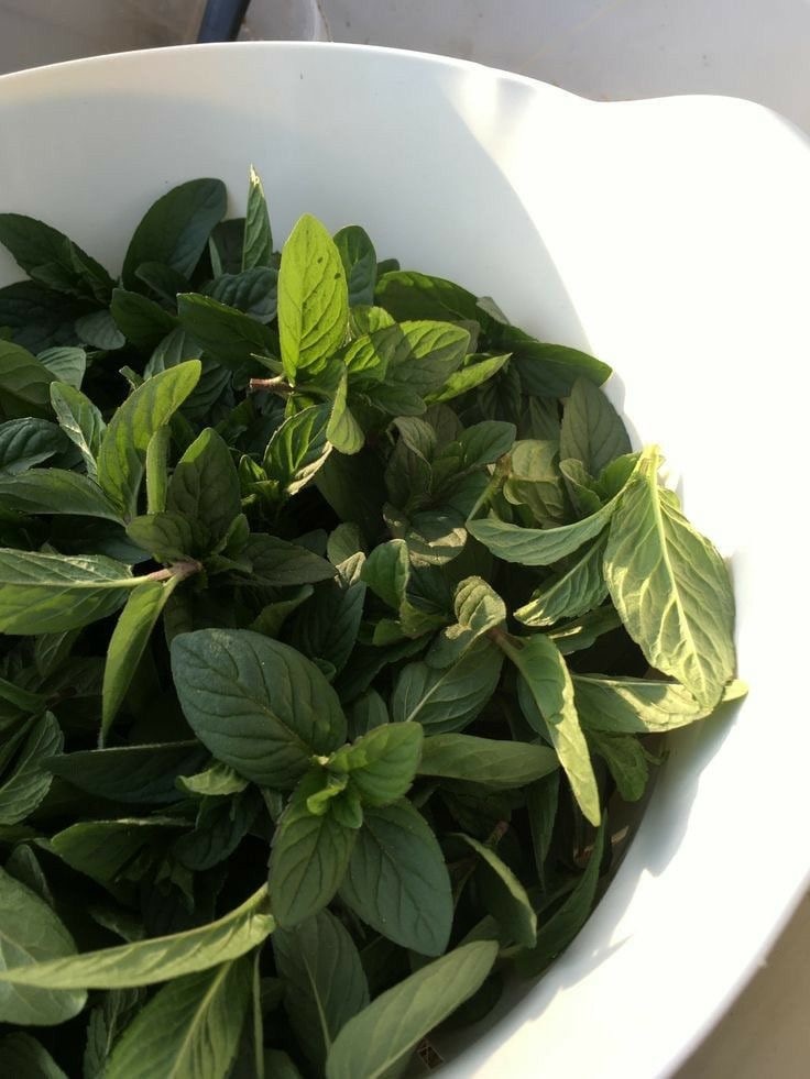 Источник: https://pin.it/1zpyY03wb