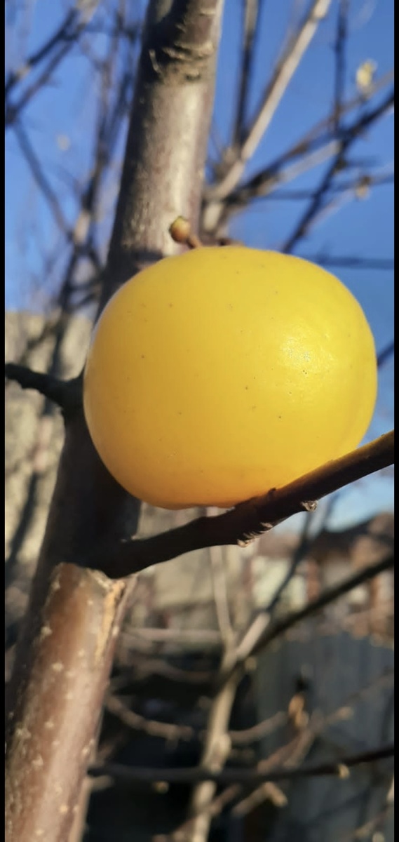 Фотография из интернета 