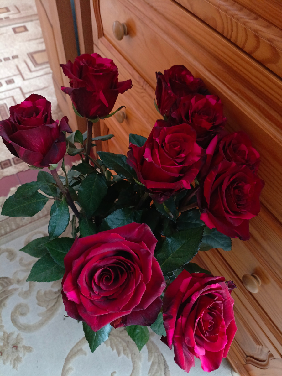 Цветы. Фото автора 