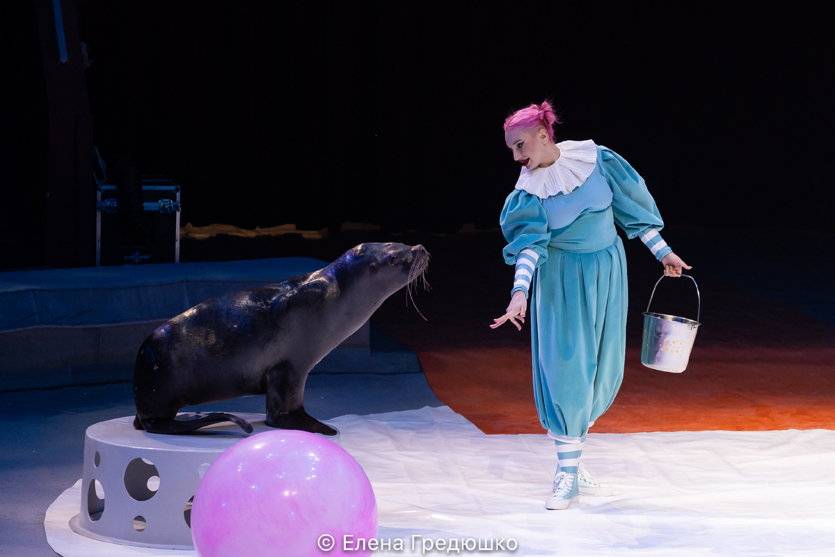 Анастасия Алескерова со своей питомицей на манеже Казанского цирка