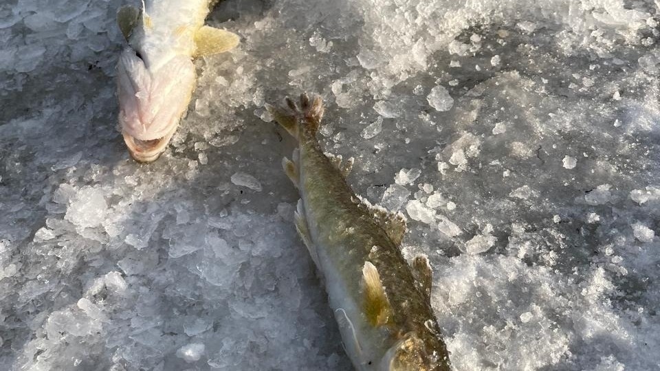     Источник: vostokmedia.com