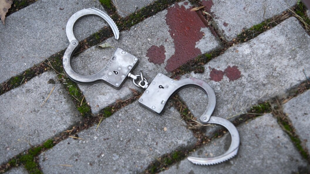    Nikolay Gyngazov/Global Look Press/Globallookpress