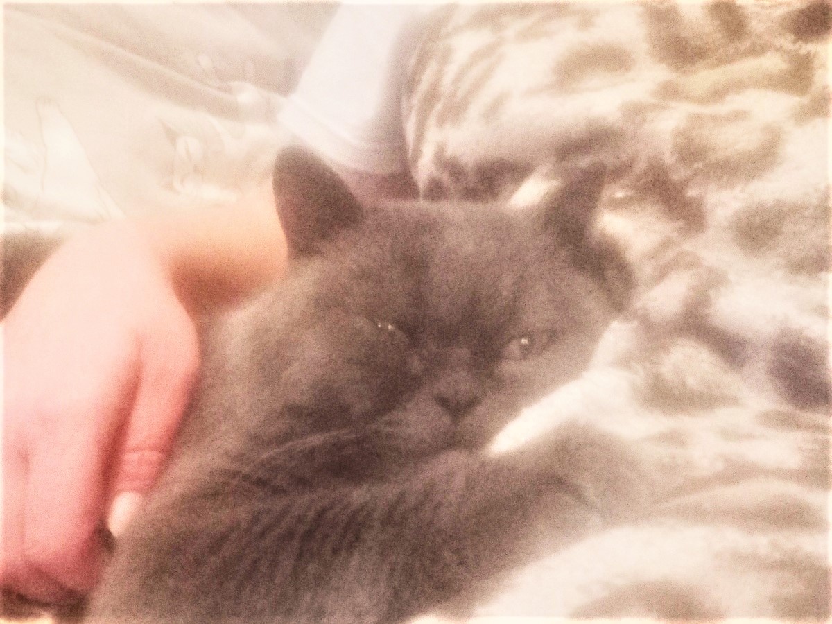 Благодарю за фото Марину АБРОЧНОВУ)