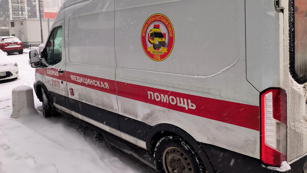    Фото: Maksim Konstantinov/globallookpress.com