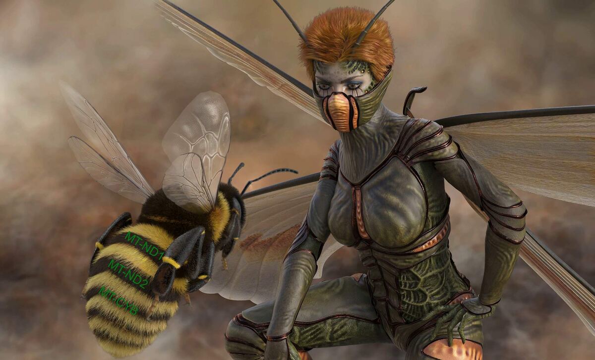 Пчела Бакфаст