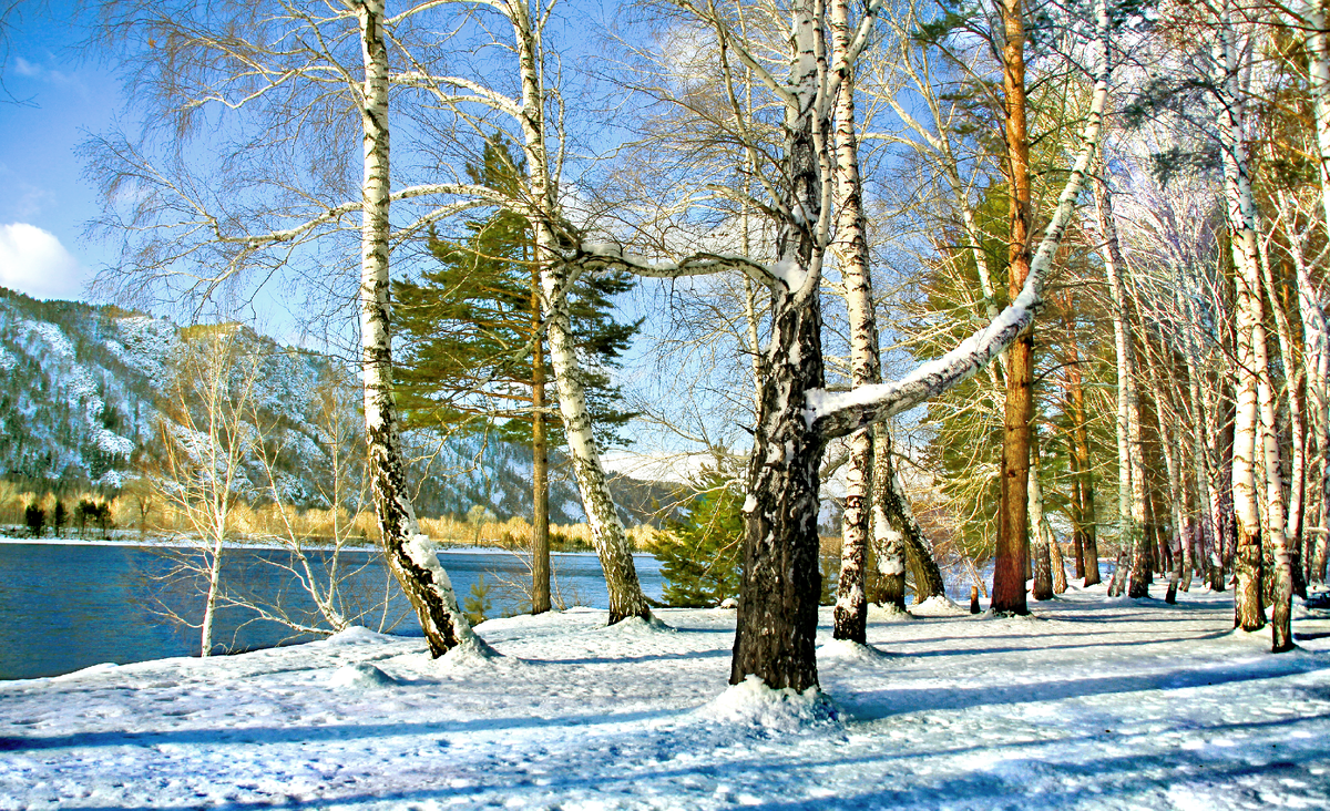 Фотография, стихотворение Василия Глуцкого
