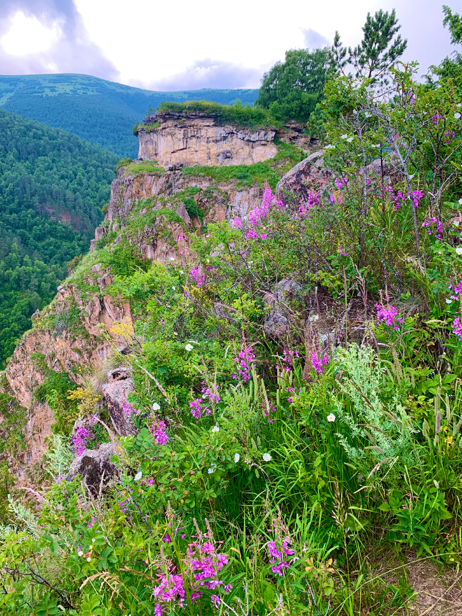 Так называемые «скалы Аватара», дорога на Джилы -Су, фото Сад в стиле Paradise @
