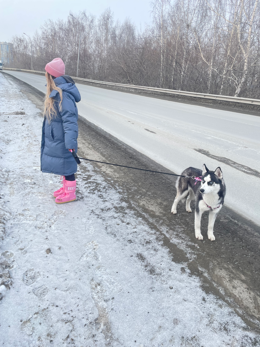 Я установила самые доверительные отношения с каждым членом стаи.